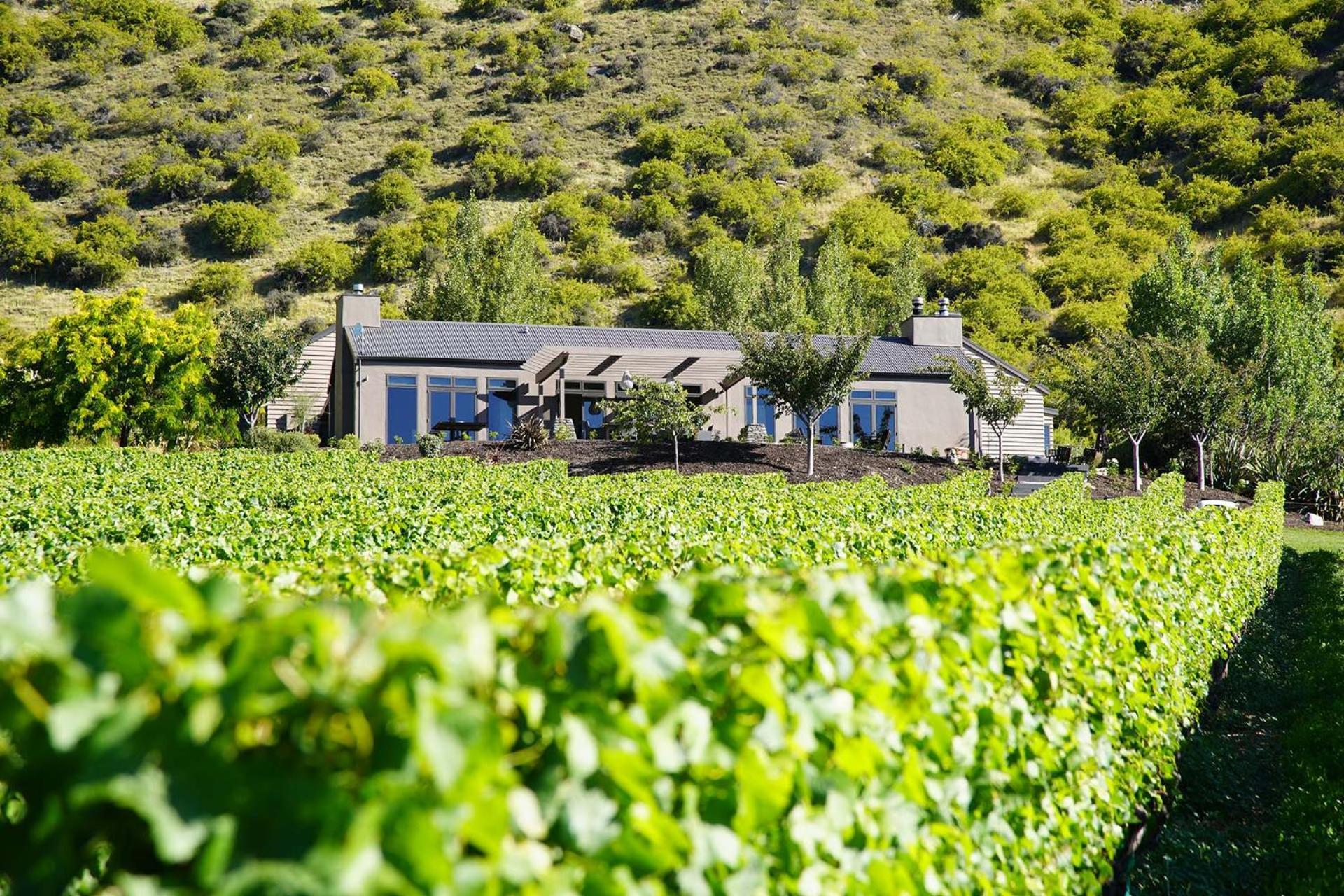 Mt Rosa Lodge Boutique Vineyard Accommodation วานากา ภายนอก รูปภาพ
